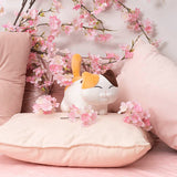 Happy Cat Plush Puff Soft Toy Brown - 22cmHT Teddy Time