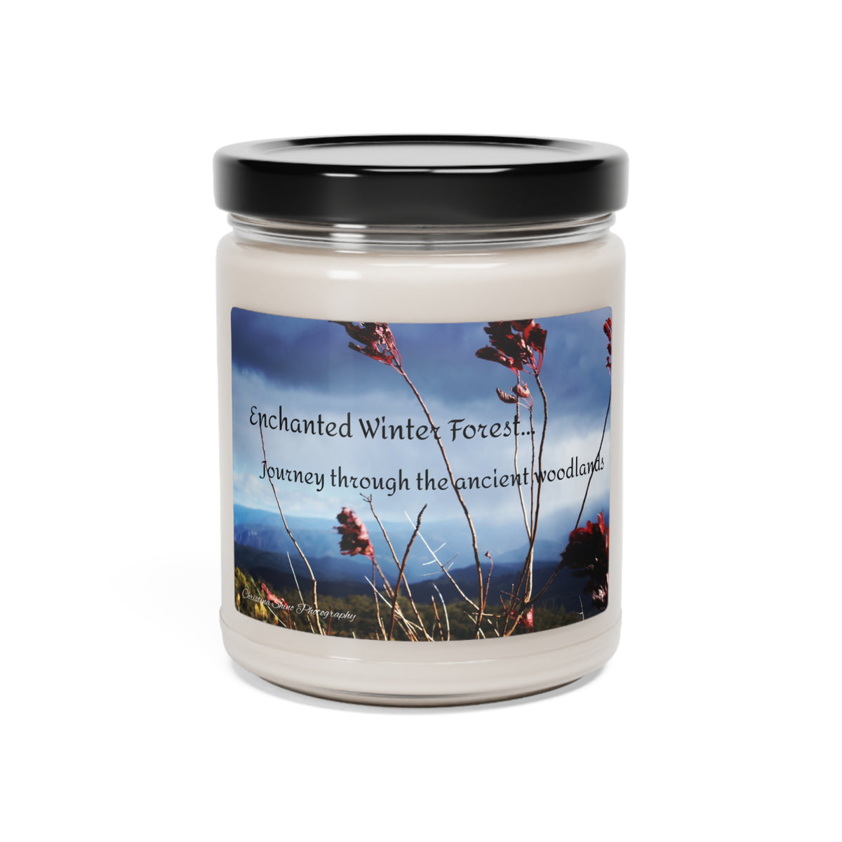 Enchanted Winter Forest Scented Soy Candle, 9oz